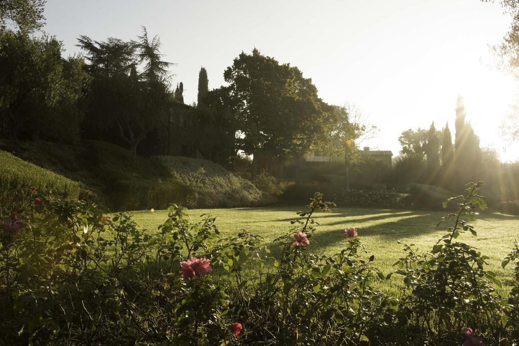 Tenuta Santo Pietro Pienza Bagian luar foto